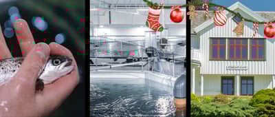 Treffpunkt Ryfylke med middag: Vi besøker Årdal Aqua