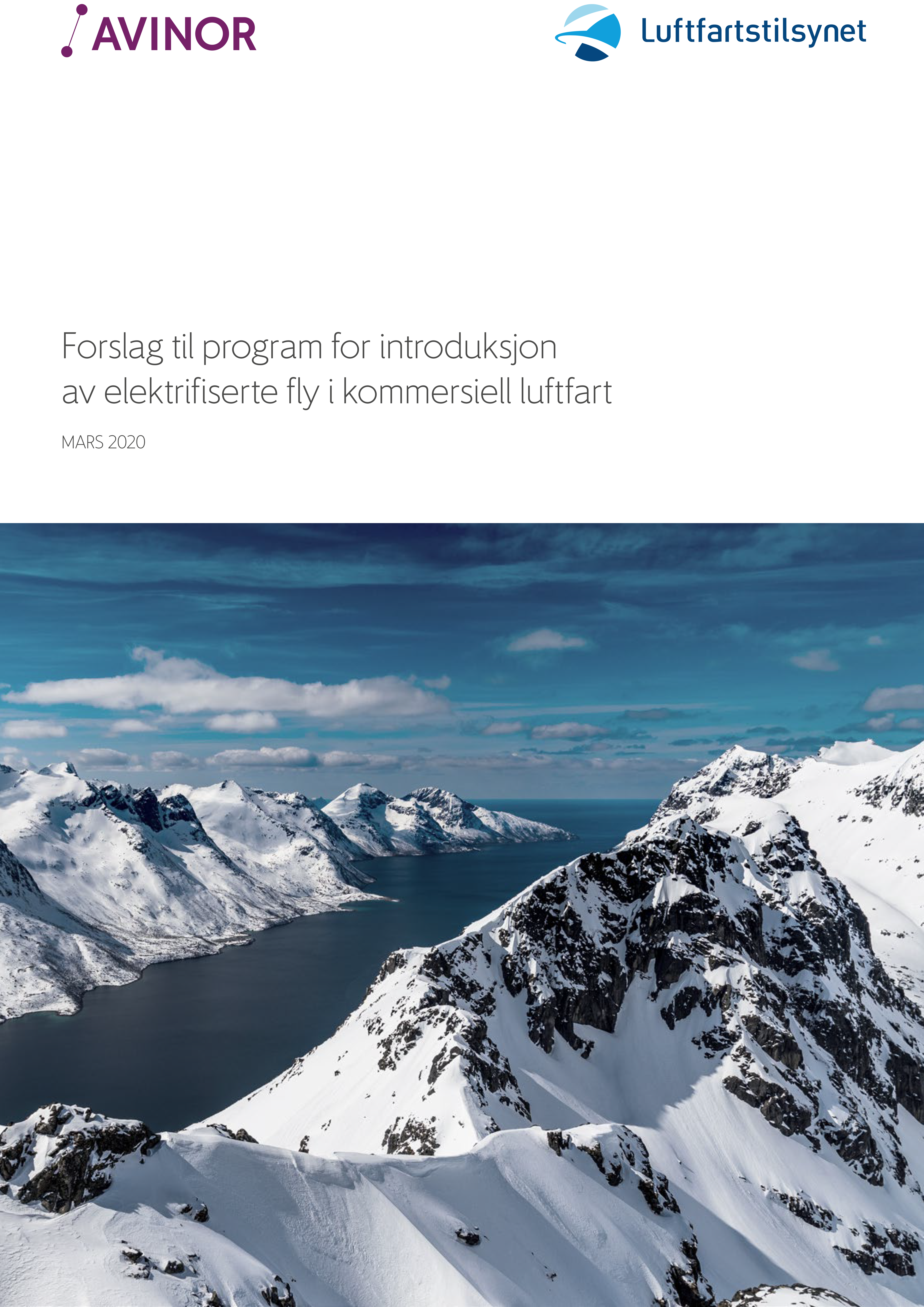 Faksi_rapport2