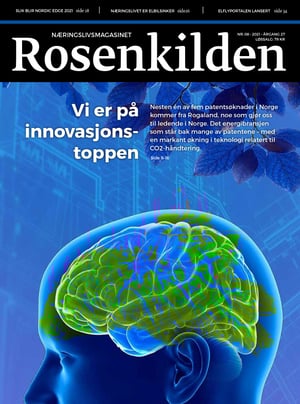 Rosenkilden Listeside