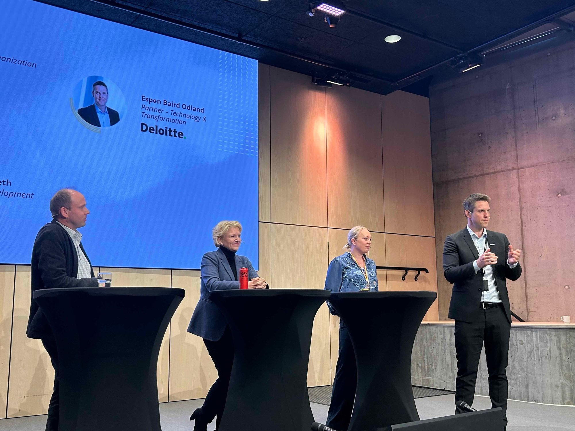 panel deloitte