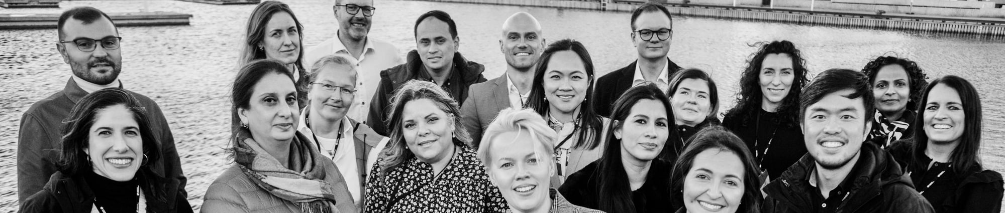 Mentorprogrammet[65]