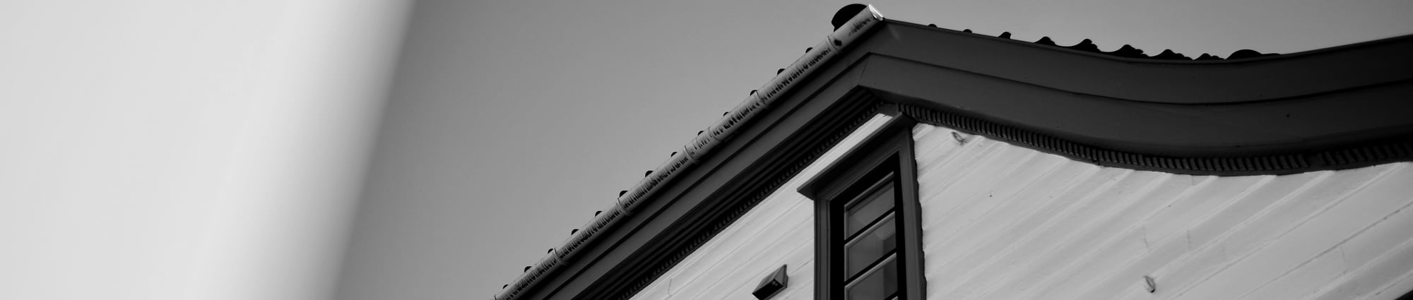 Fagråd og lokalstyrer