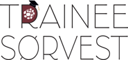 TraineeSørVest_2linjer_pos