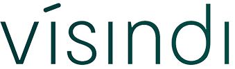 Visindi_020725