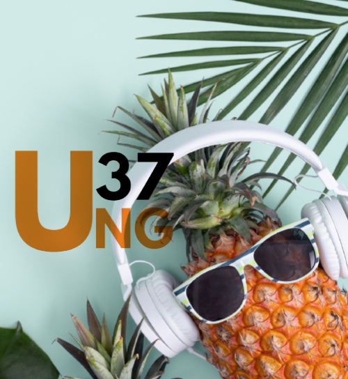 U37 Sommerfest på Vingtor