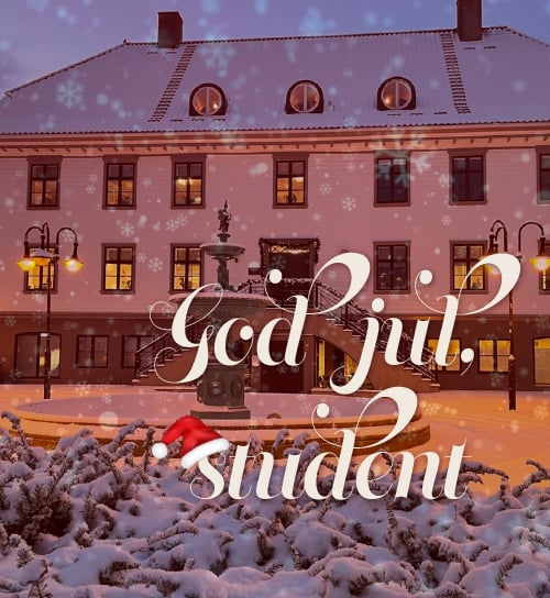 Velkommen hjem til jul, student!
